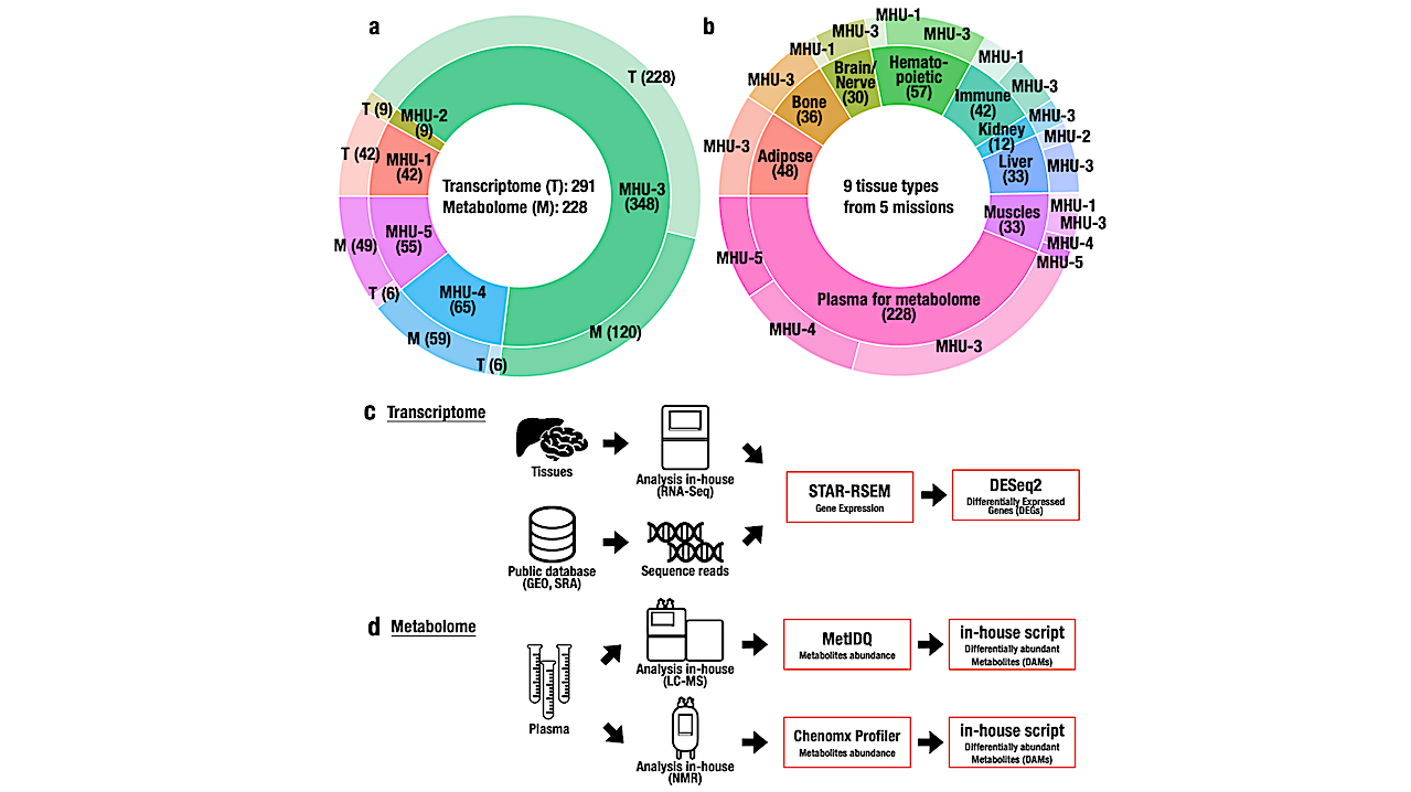 ibSLS: A Biobank for Democratizing Access to Multi-Omics Data and Biospecimens from Spaceflight Research
