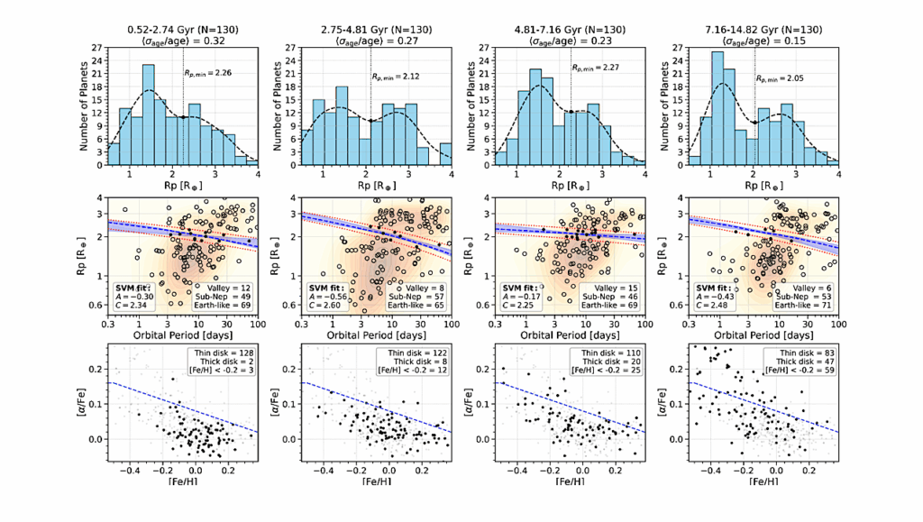 Insights Into The Exoplanet Radius Valley From Host-Star Ages, Activity, Chemistry, And Birth Radius
