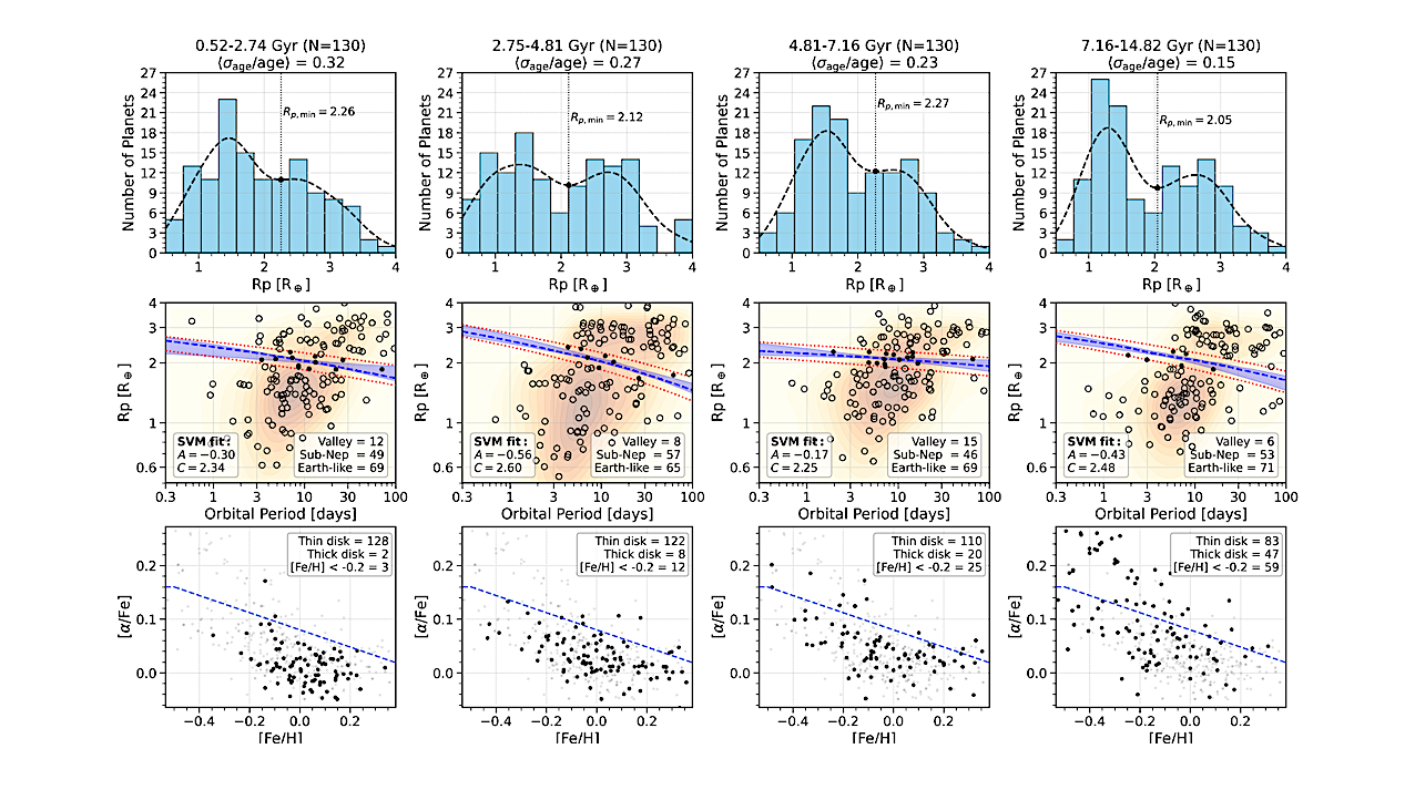 Insights Into The Exoplanet Radius Valley From Host-Star Ages, Activity, Chemistry, And Birth Radius