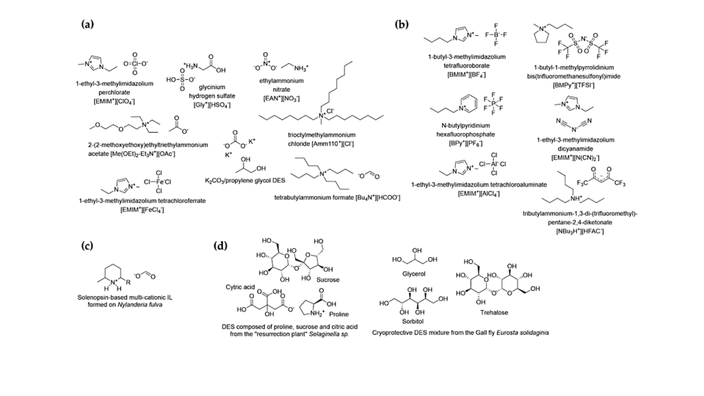 Ionic Liquid Biospheres