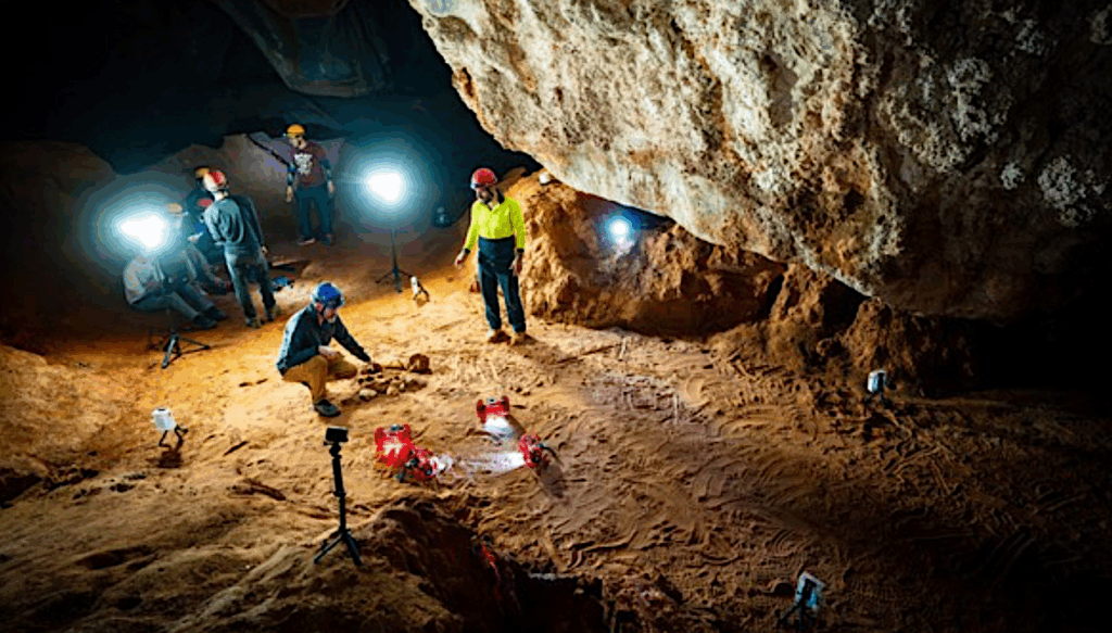 ISAS/JAXA Campaign Using A Swarm Of Small Robots