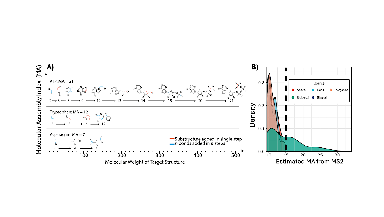 Metrology of Complexity and Implications for the Study of the Emergence of Life
