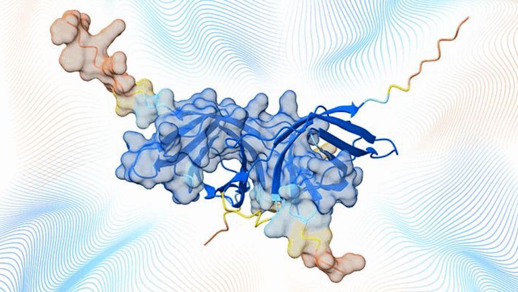 Millions Of Protein Complexes Added To AlphaFold Database Shed Light On How Proteins Interact