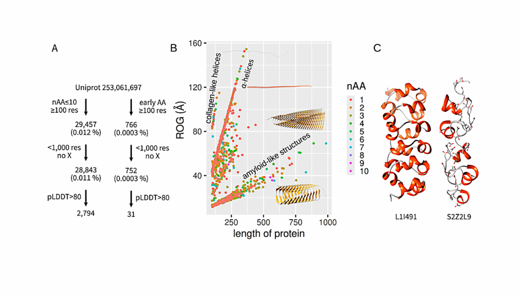 Minimal Amino Acid Alphabet for Protein Design