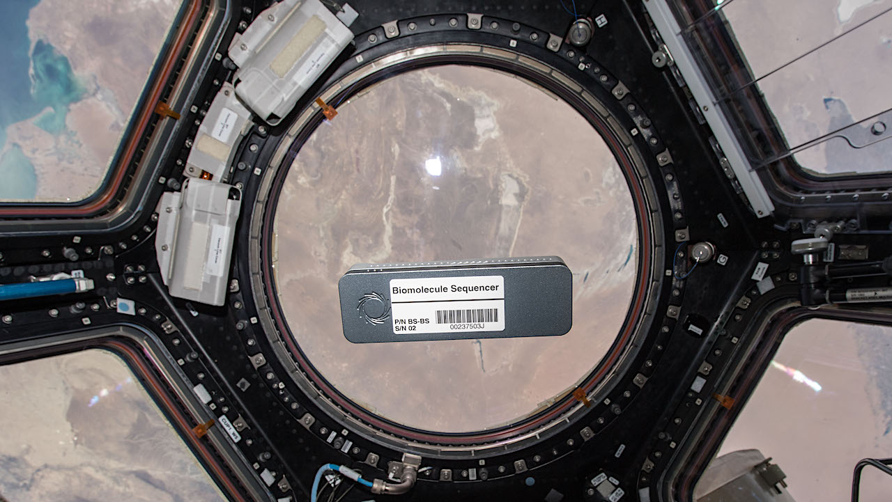 Nanopore Sequencing: A Way To Explore Life’s Origins