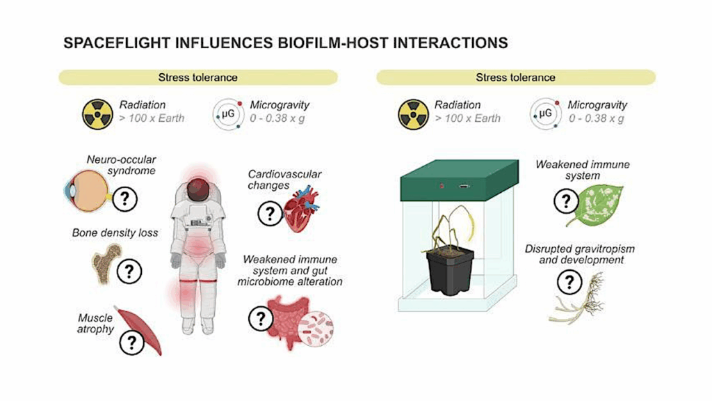 NASA Volunteers Study Biofilm Adaptability in Space