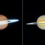 NASA's Webb and Hubble Telescopes Look at Saturn in a Different Light