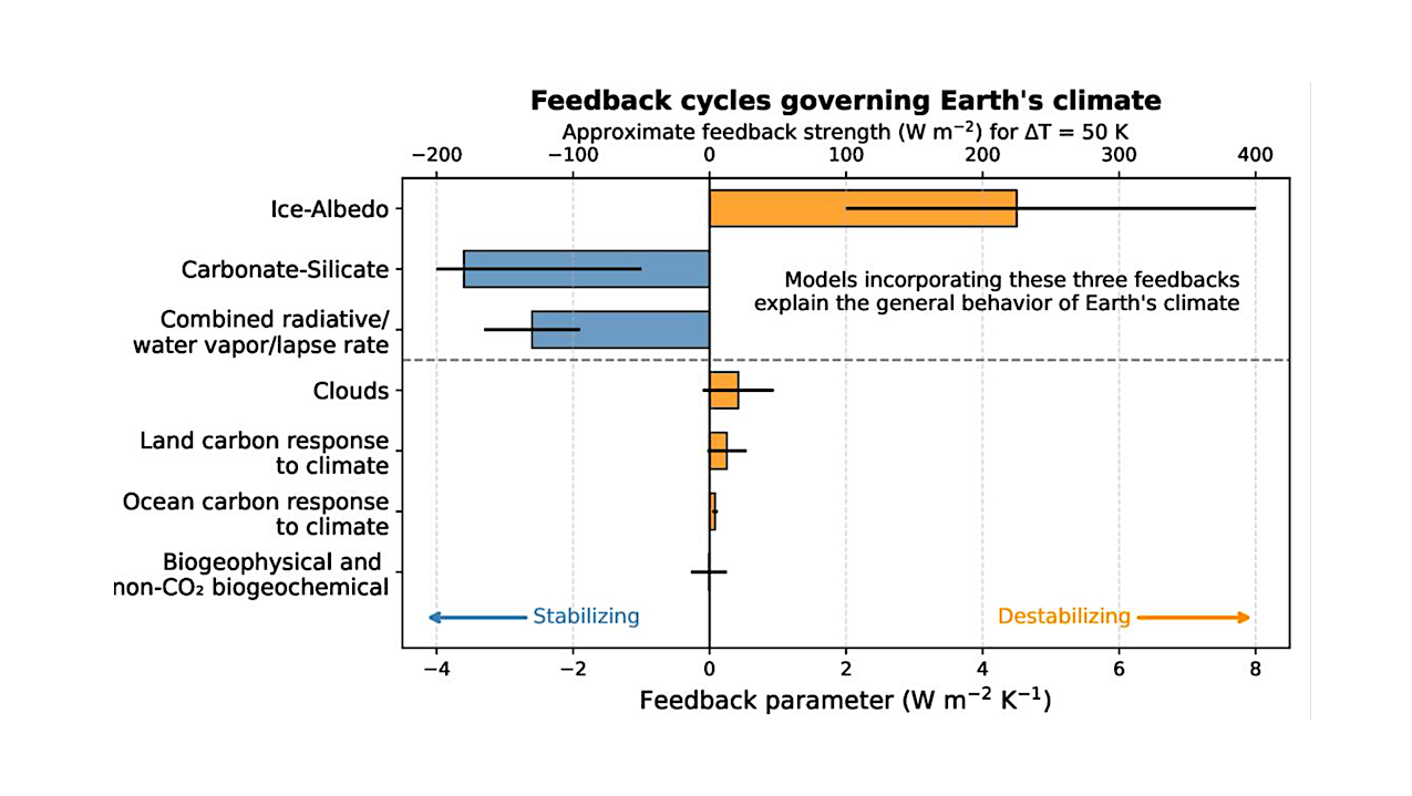 Not Earth-like Yet Temperate? More Generic Climate Feedback Configurations Still Allow Temperate Climates in Habitable Zone Exo-Earth Candidates
