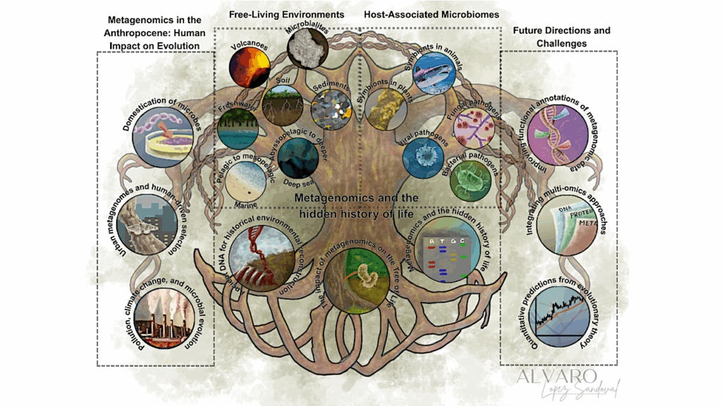 Recent Microbial Evolutionary Insights From Metagenomics