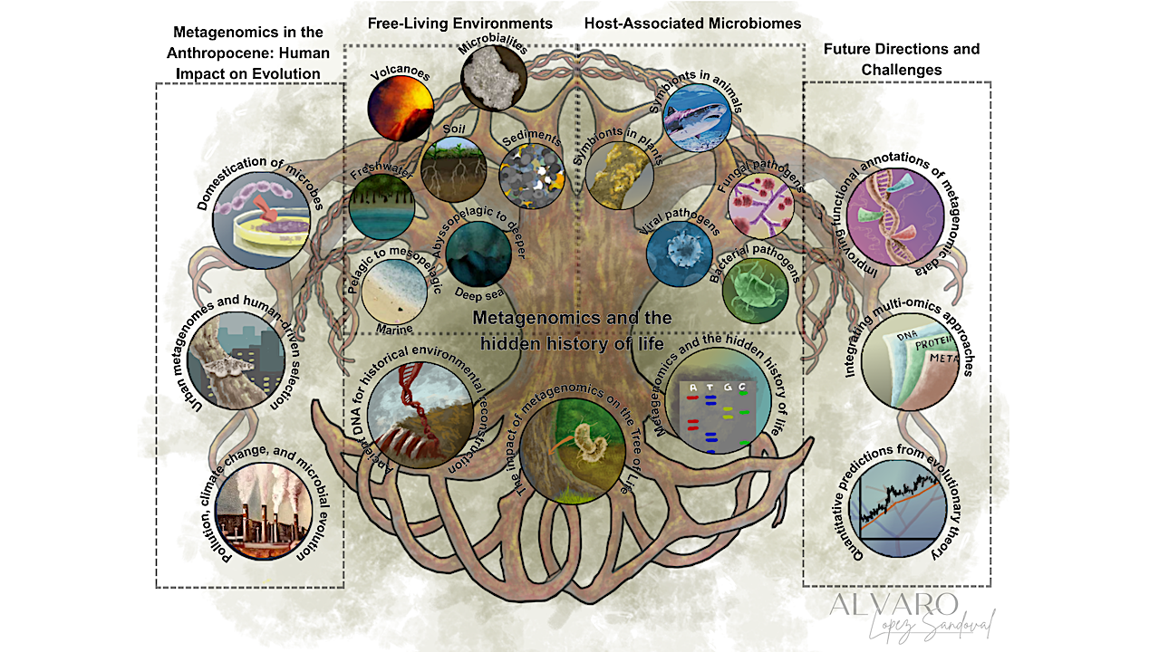 Recent Microbial Evolutionary Insights From Metagenomics