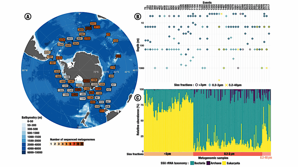 Researchers Uncover Hidden Genetic World in Antarctic Waters