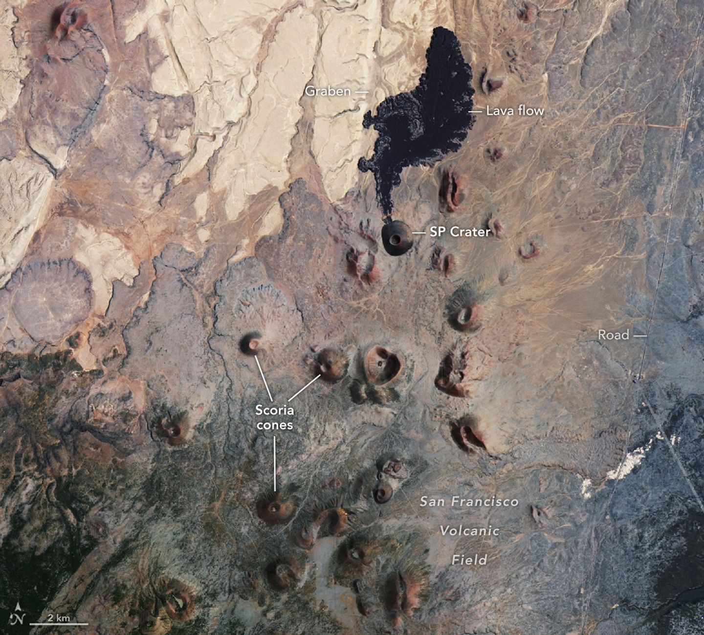Scoria Cones on Earth and Mars