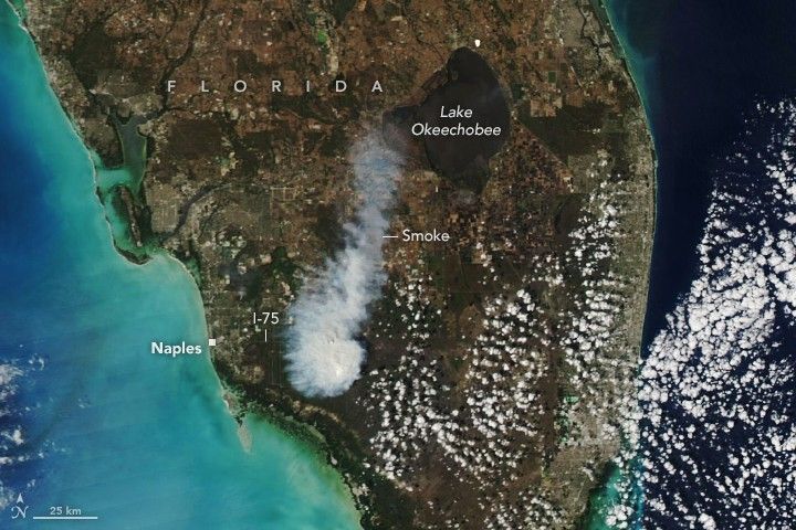 Smoke Rises Over Big Cypress National Preserve
