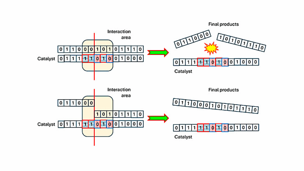 Template-Based Catalysis and the Emergence of Collectively Autocatalytic SystemsEntropy