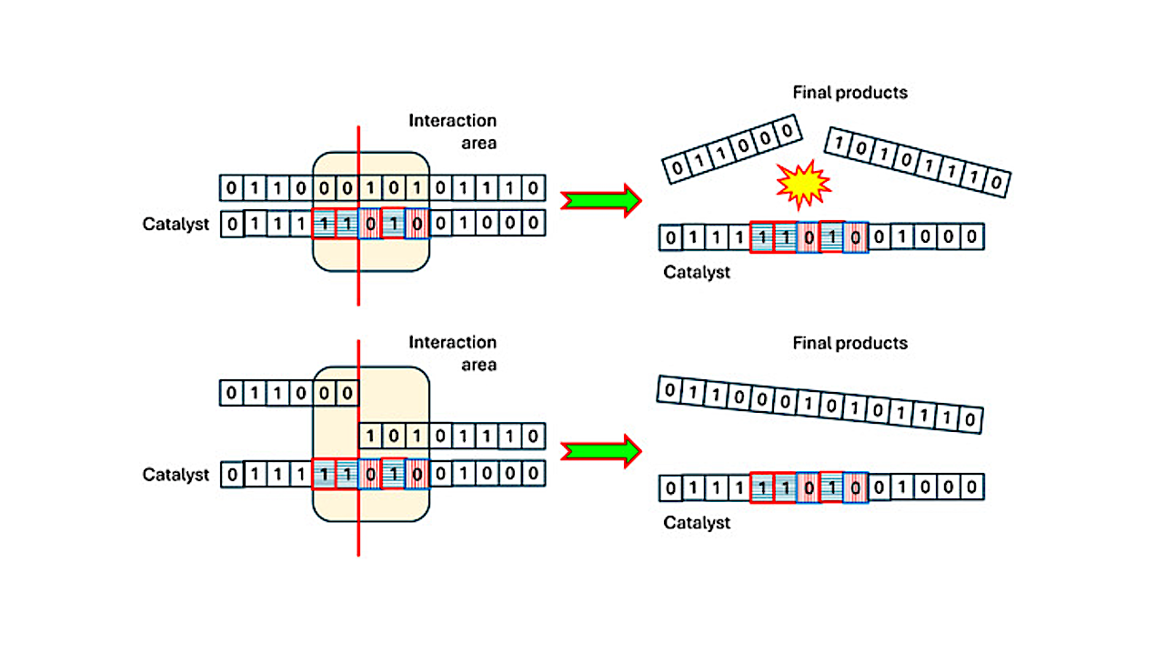 Template-Based Catalysis and the Emergence of Collectively Autocatalytic SystemsEntropy