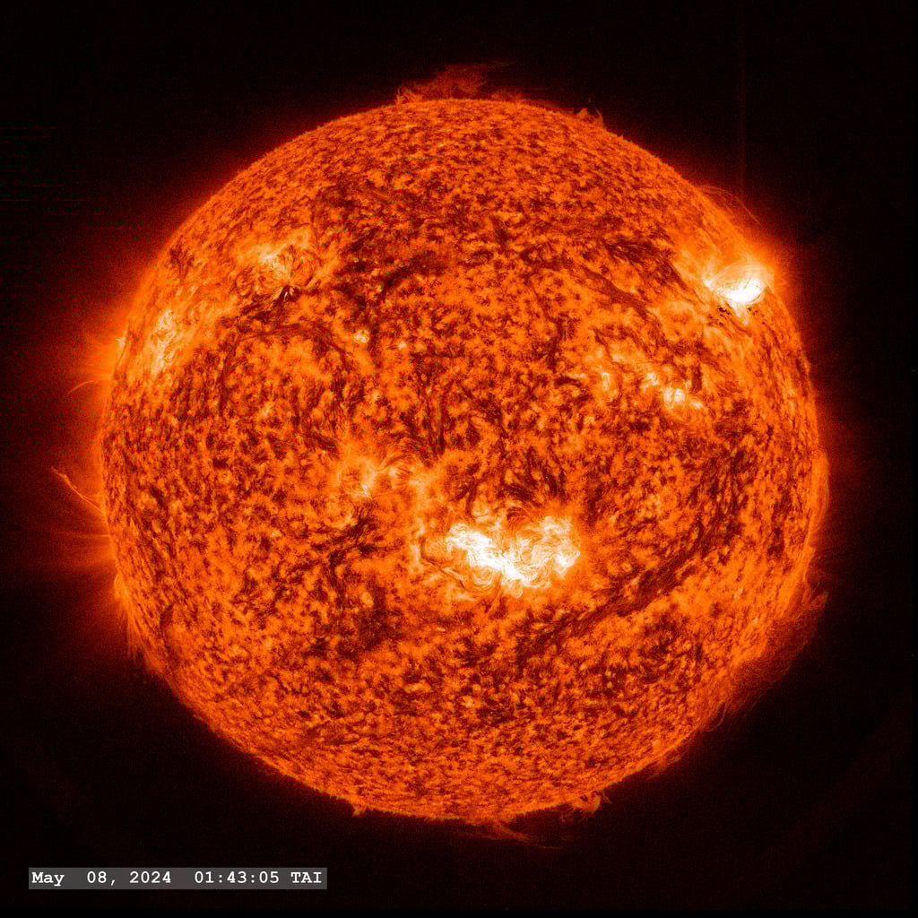The Sun’s Long-Lived Active Regions Are Massive Flare Factories—But We Don’t Know Why