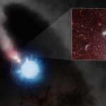 Tiny Dust Grains From Massive Stars: How the Smallest and Largest Are Linked