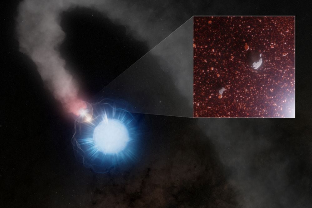 Tiny Dust Grains From Massive Stars: How the Smallest and Largest Are Linked