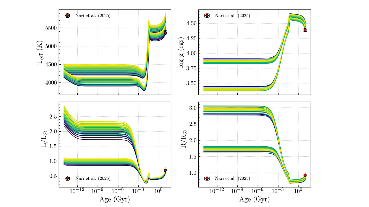 A Theoretical Study of the Structure and Elemental Abundances of HD 20794