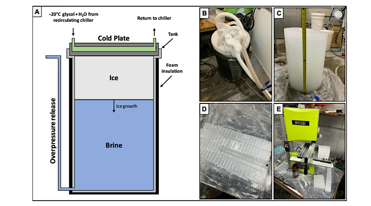 As Above, Not So Below: Ion Fractionation In Planetary Analog Ices
