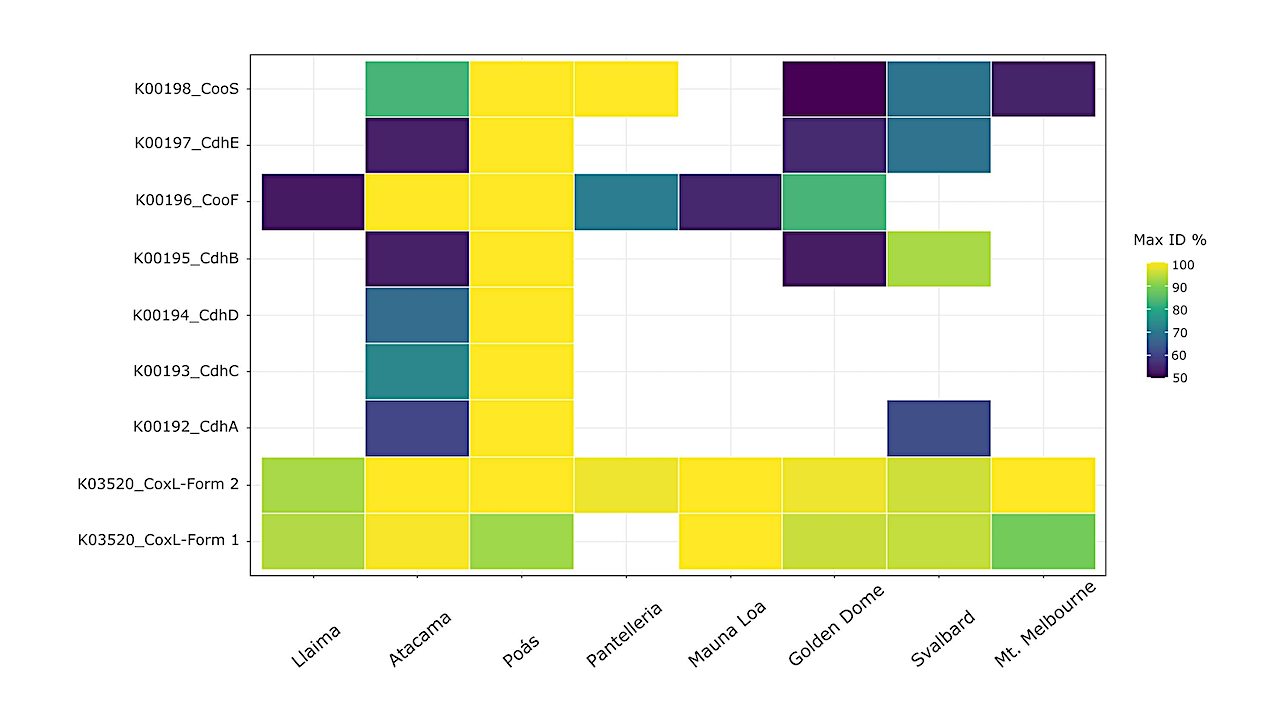 Carbon Monoxide Dehydrogenase-encoding Microorganisms In Volcanic Astrobiological Analogues: An Enzyme System To Investigate The Evolution Of Life
