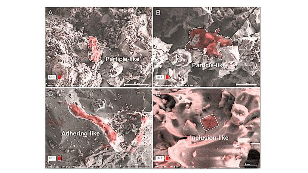 Chang’e Mission Samples Reveal How Exogenous Organic Matter Evolves On The Moon