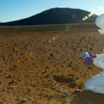 Community Survey: Field-Based Studies And Sample Processing Facility