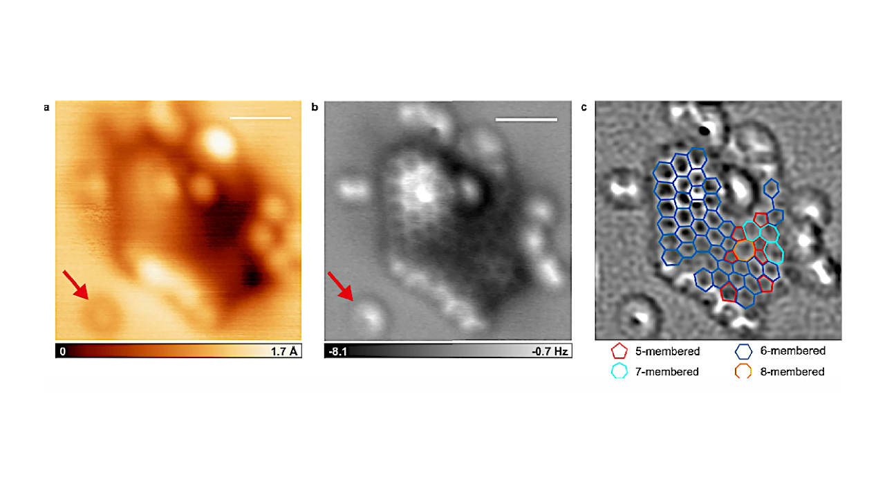Discovery Of Unexpectedly Large Organic Molecules from Asteroid Ryugu