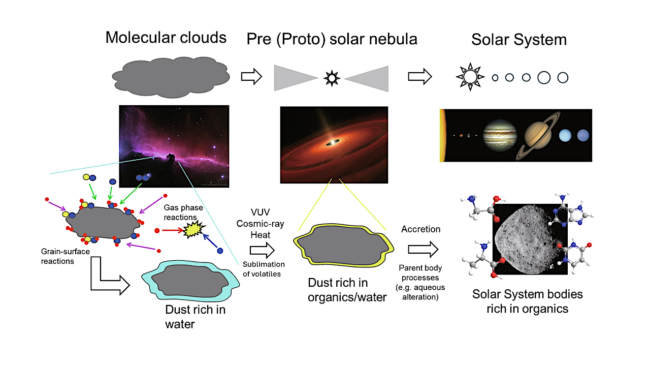 Distribution Of Extraterrestrial Nucleobases, Other N-heterocycles, And Their Precursors In A Sample From Asteroid Bennu