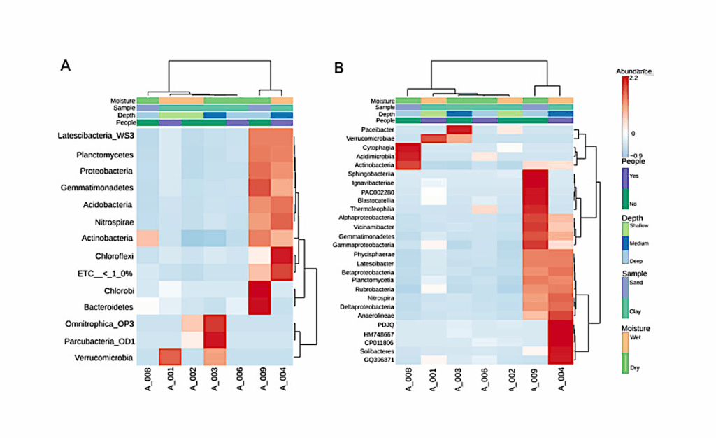 Evaluation Of The Bacterial Diversity In The World’s Deepest Cave—Veryovkina, Arabika Massif, Western Caucasus