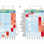 Evaluation Of The Bacterial Diversity In The World’s Deepest Cave—Veryovkina, Arabika Massif, Western Caucasus