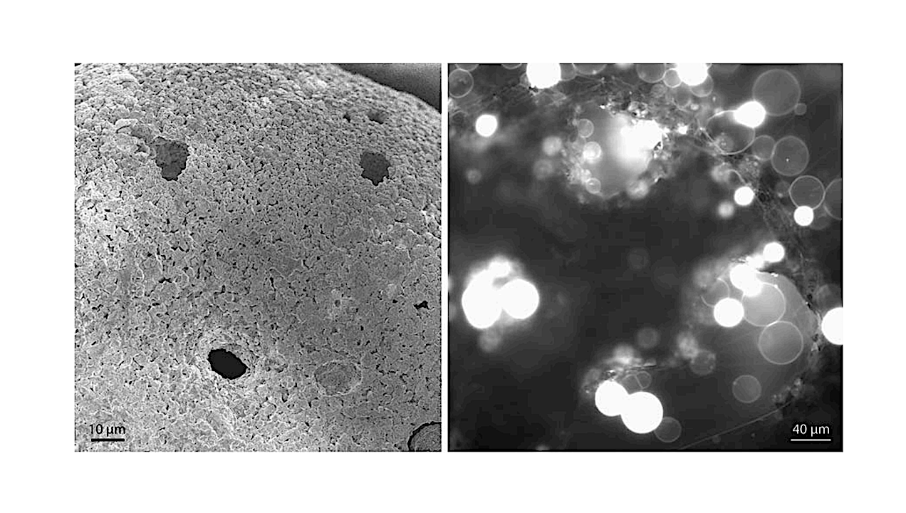 From Space Dust To Protocells: Micrometeorites In Early Cellular Evolution