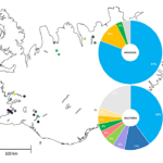 Groundwater Microbial Diversity Associated With Icelandic Basaltic Subsurface Environments
