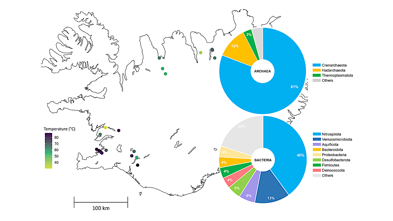 Groundwater Microbial Diversity Associated With Icelandic Basaltic Subsurface Environments