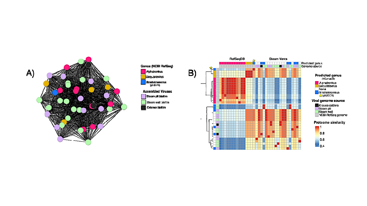 Hawaiian Geothermal Fumaroles Contain Diverse and Novel Viruses