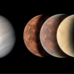 How much water on exoplanets does life need?