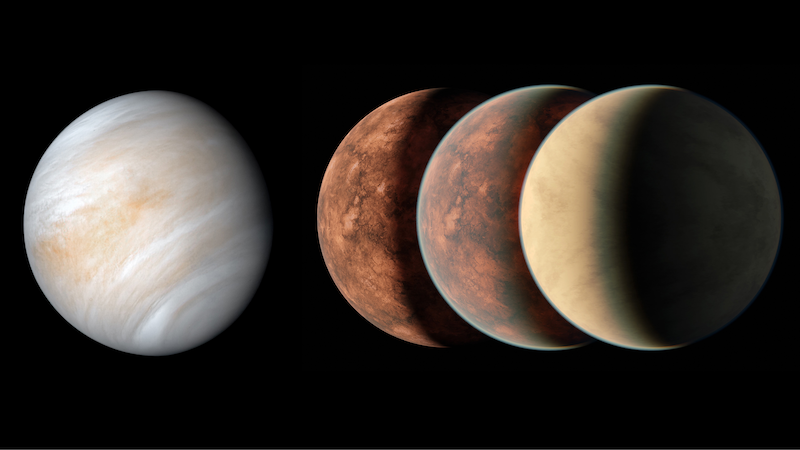 How much water on exoplanets does life need?