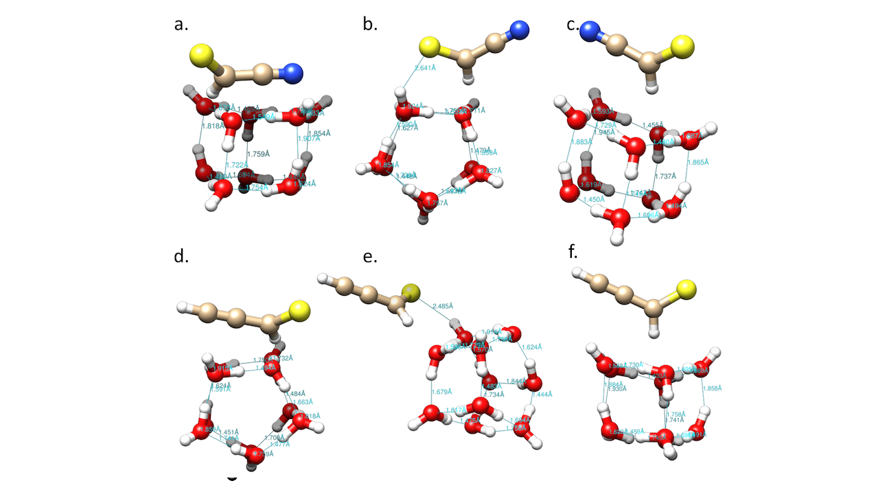 Ice as a Photochemical Shield: Adsorption Energetics and Spectroscopic Modulation of Interstellar Thiocyanates HCSCN and HCSCCH in TMC-1