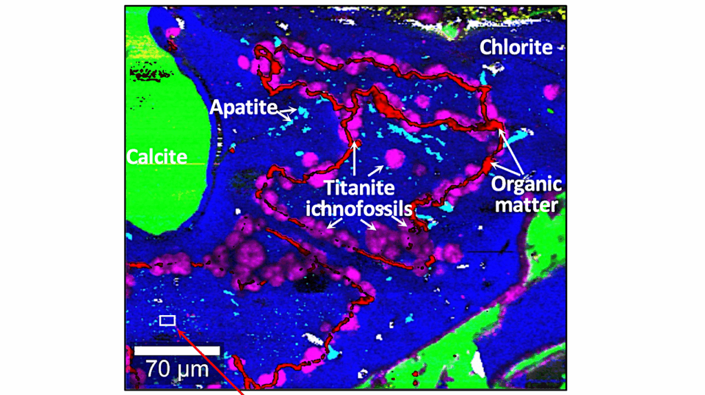 Ichnofossils in Volcanic Glass From Palaeoproterozoic Hydrothermal Vents Were Burrowed By Microorganisms Probably Seeking Phosphate