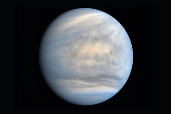 If Life Exists in Venus' Atmosphere, It Could Have Come From Earth