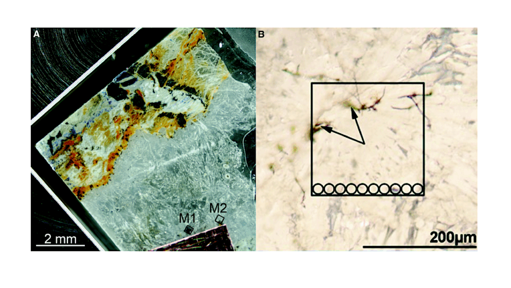 Laser-based Mass Spectrometry For The Detection Of Signatures Of Life Within Our Solar System