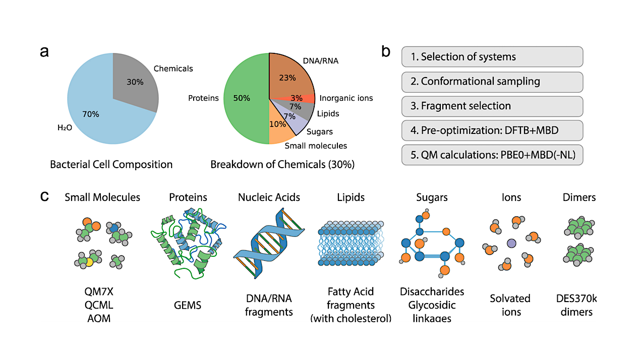 Mapping The Molecules Of Life: Expanding The Quantum-mechanical Foundation For Biomolecular AI
