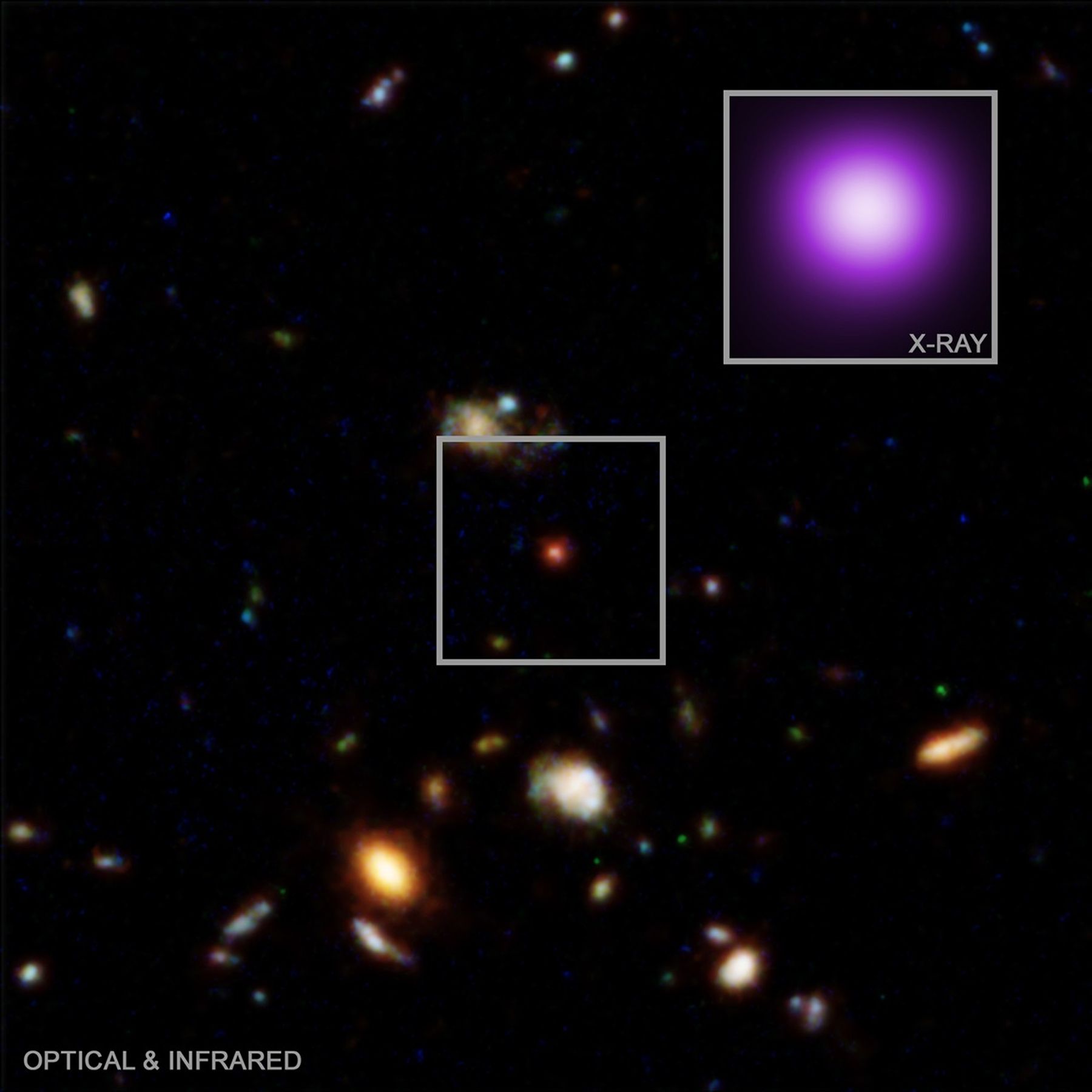 NASA Connects Little Red Dots with Chandra, Webb