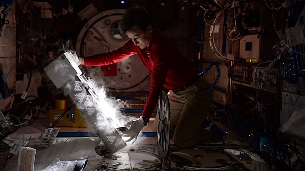 NASA Spaceline Current Awareness List #1,194 3 April 2026 (Space Life Science Research Results)