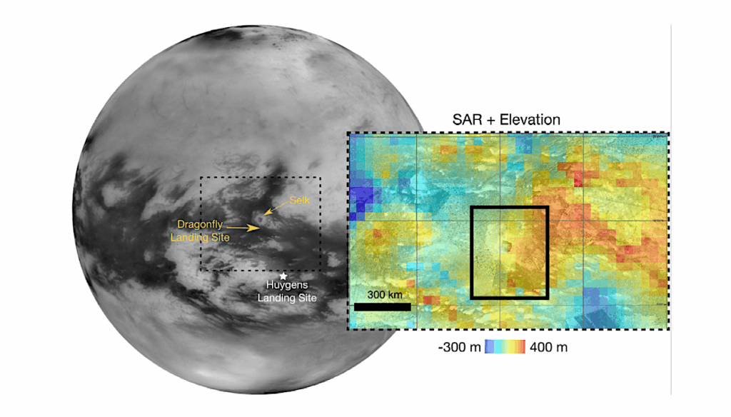 Prebiotic Chemistry Insights for Dragonfly II: Thermodynamic Favorability of Nucleobases, Ribose, and Fatty Acids in Selk Crater on Titan