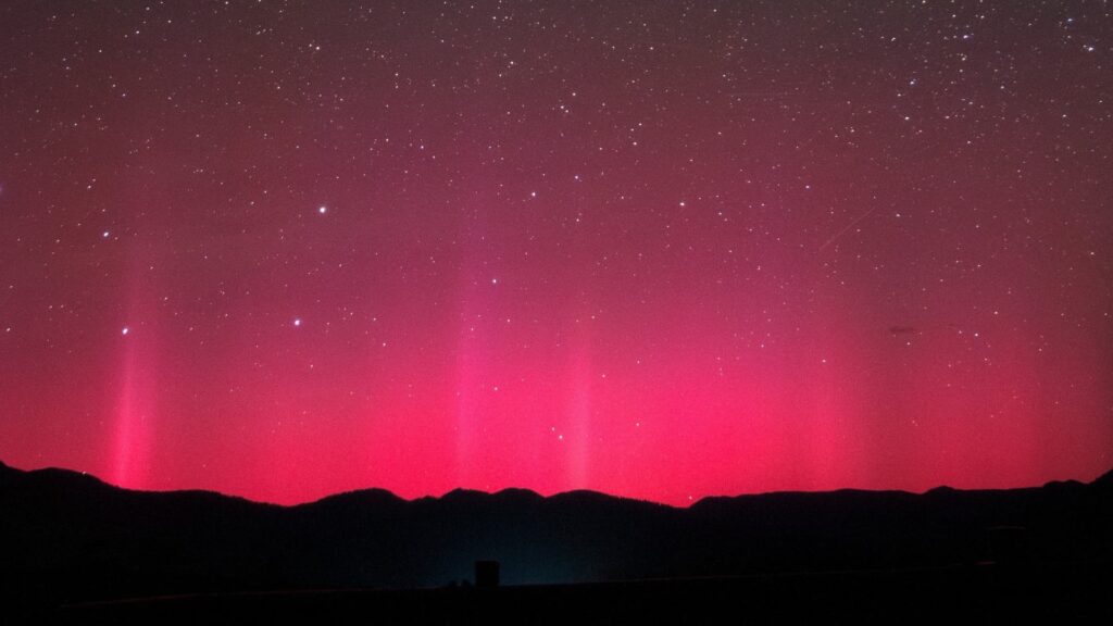 Scientists Connect Sub-extreme Solar Outbursts to Tree Rings via Poetry