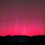 Scientists Connect Sub-extreme Solar Outbursts to Tree Rings via Poetry