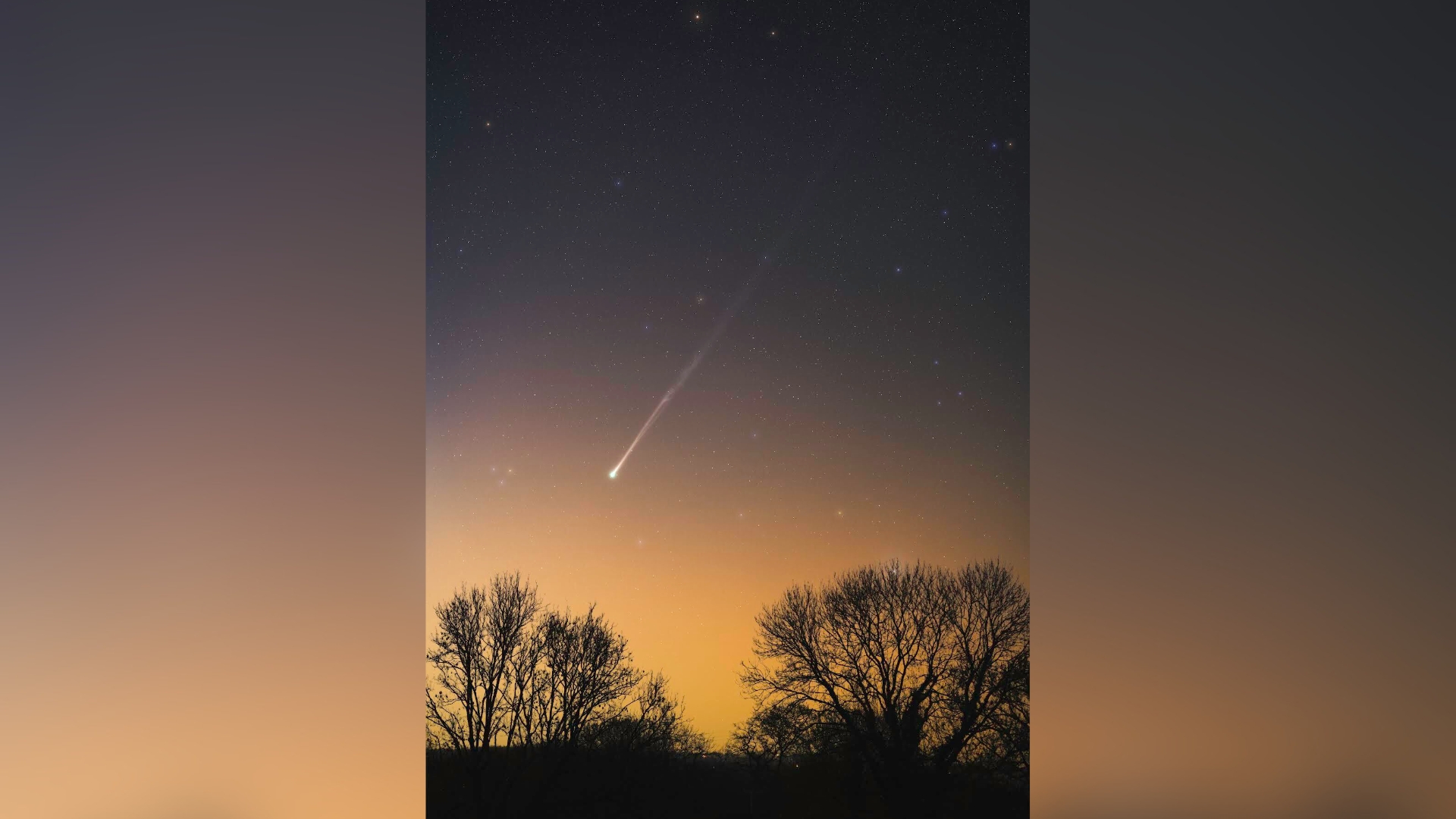 See Comet PanSTARRS glow above a false dawn in stunning new photo