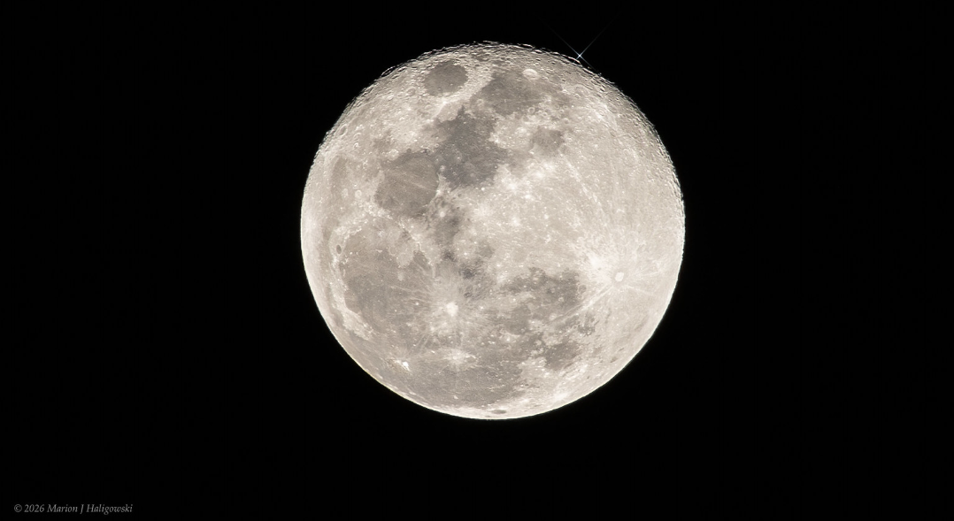 See the Moon Occult Regulus for The Americas Saturday Night