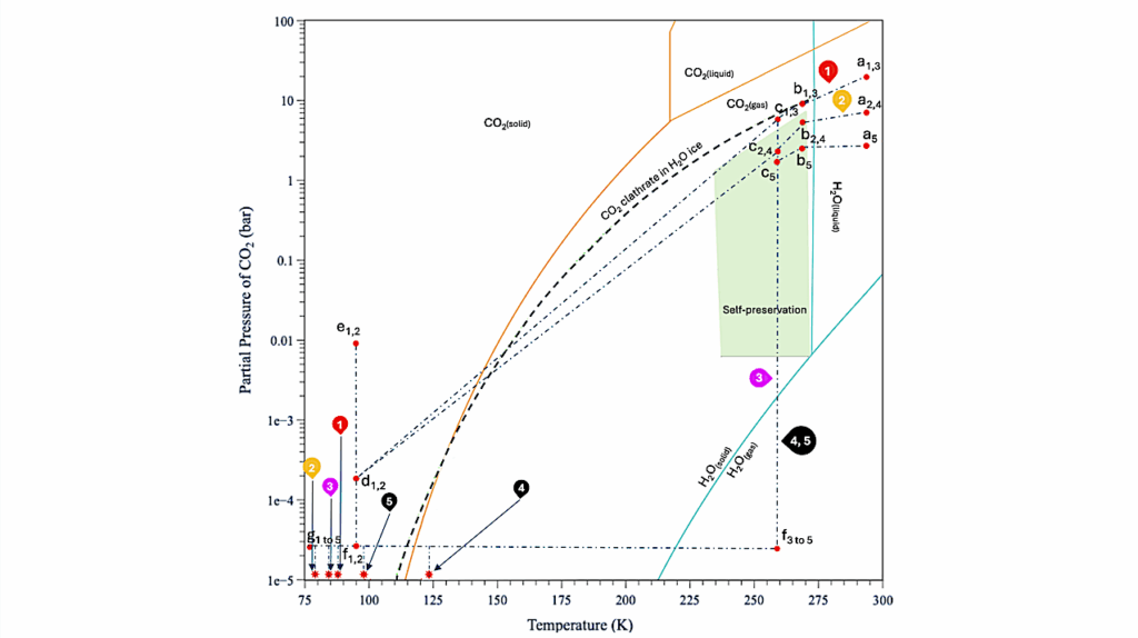 The Fate Of Frozen Carbonated Water At Europa-like Conditions